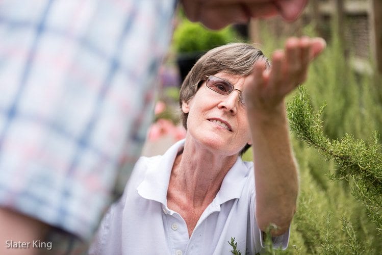 Worcester care home garden