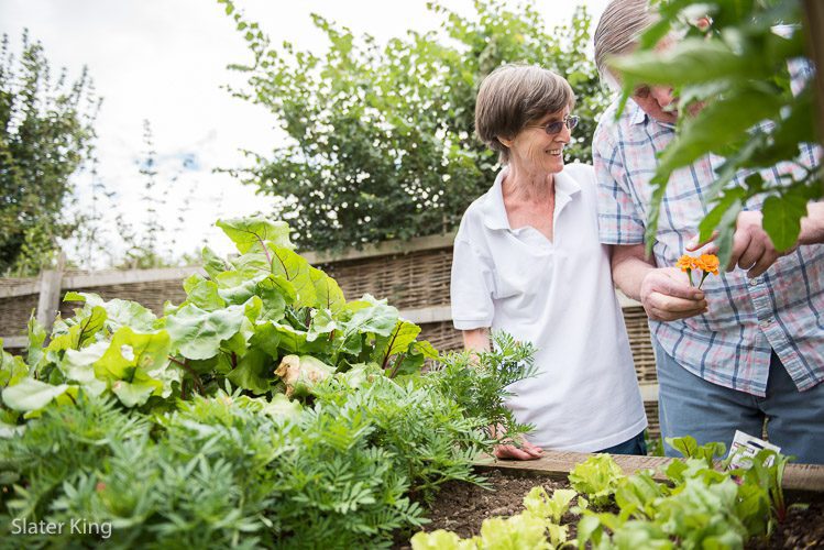 dementia sensory garden