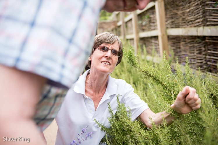 Regular gardening could halve stroke patients’ chance of dying early