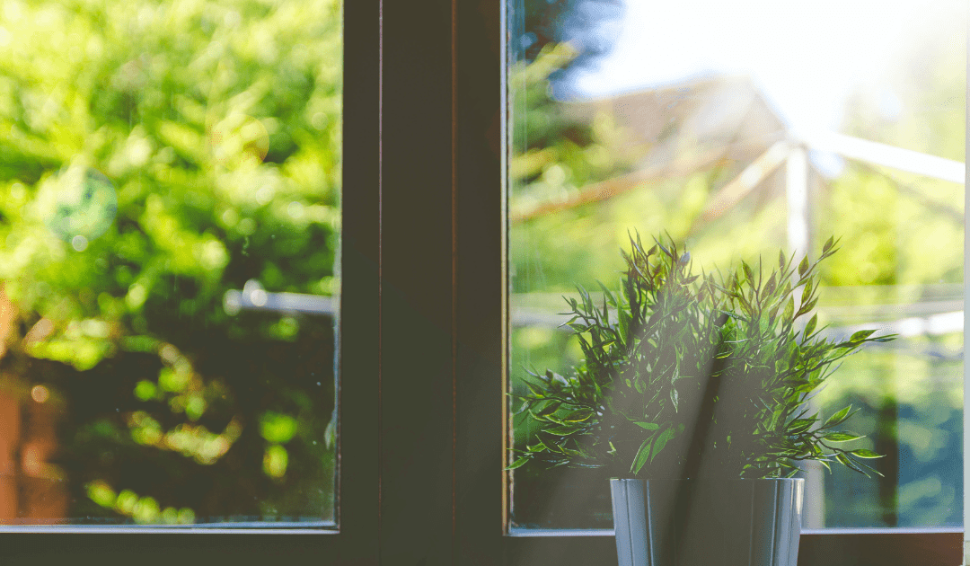 Advice for the Elderly to Stay Safe During a Heatwave